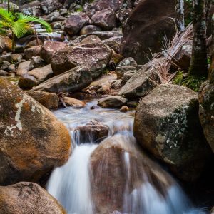 Finch Hatton Gorge