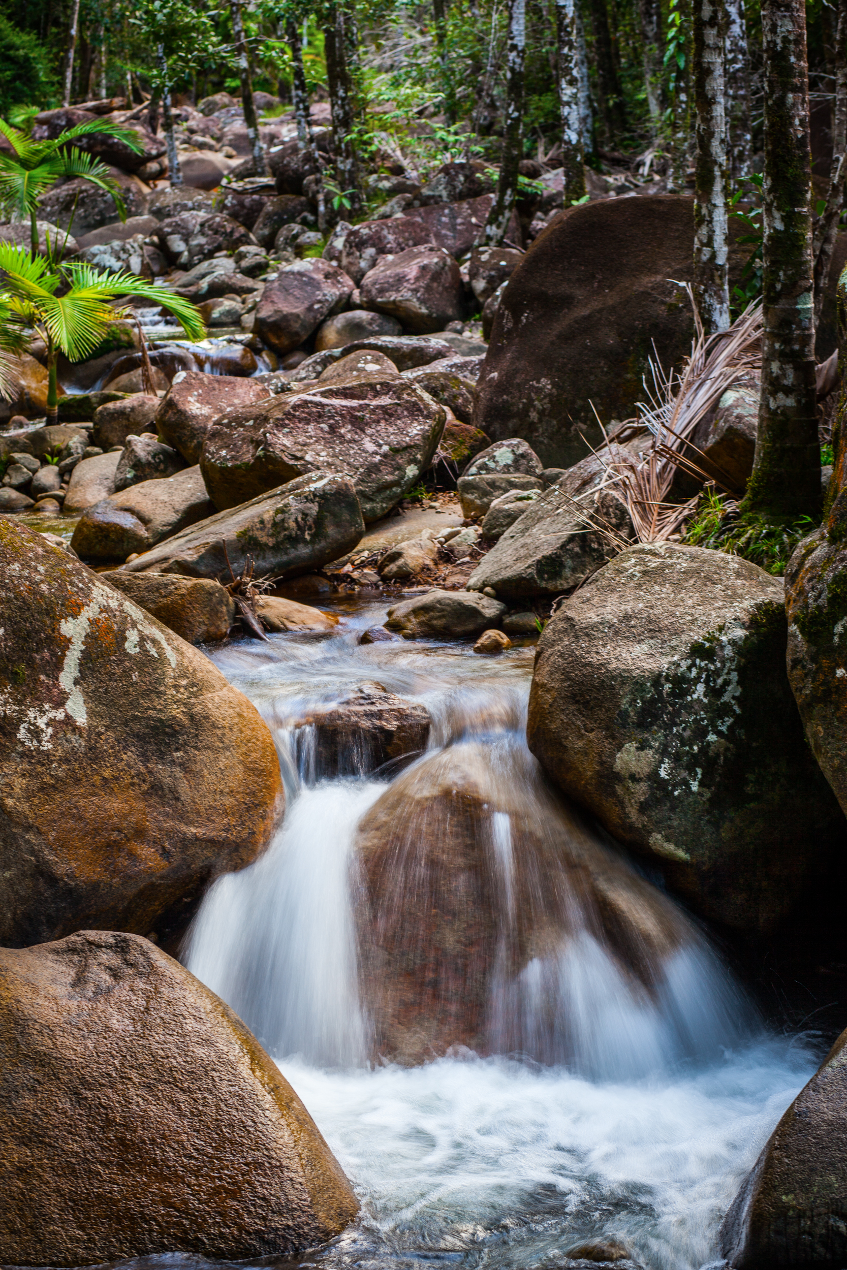 Finch Hatton Gorge