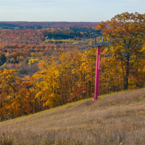 Schuss foliage