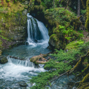 Virgin Creek Falls