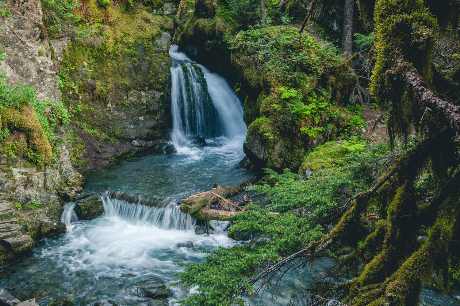 Virgin Creek Falls