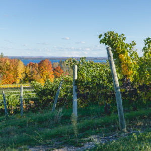 autumn at Chateau Chantal