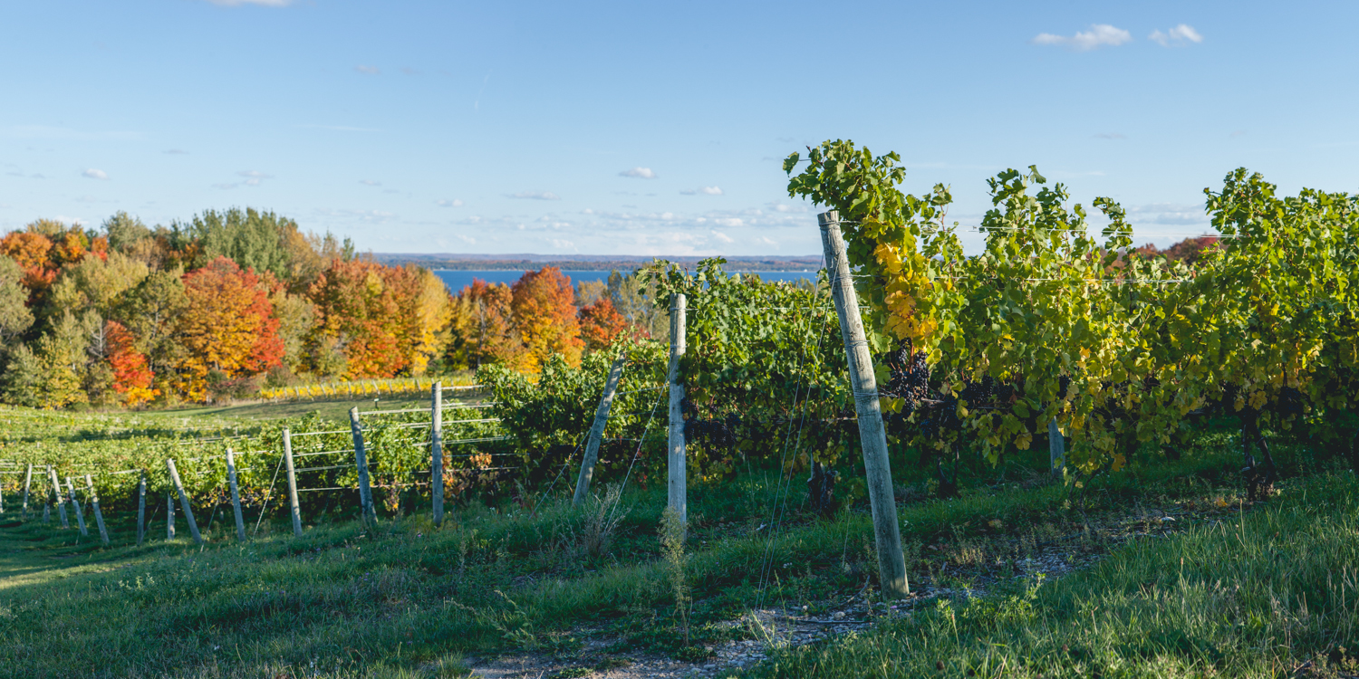 autumn at Chateau Chantal