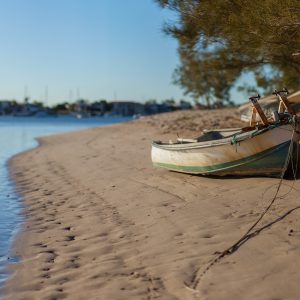 beached