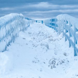frozen way