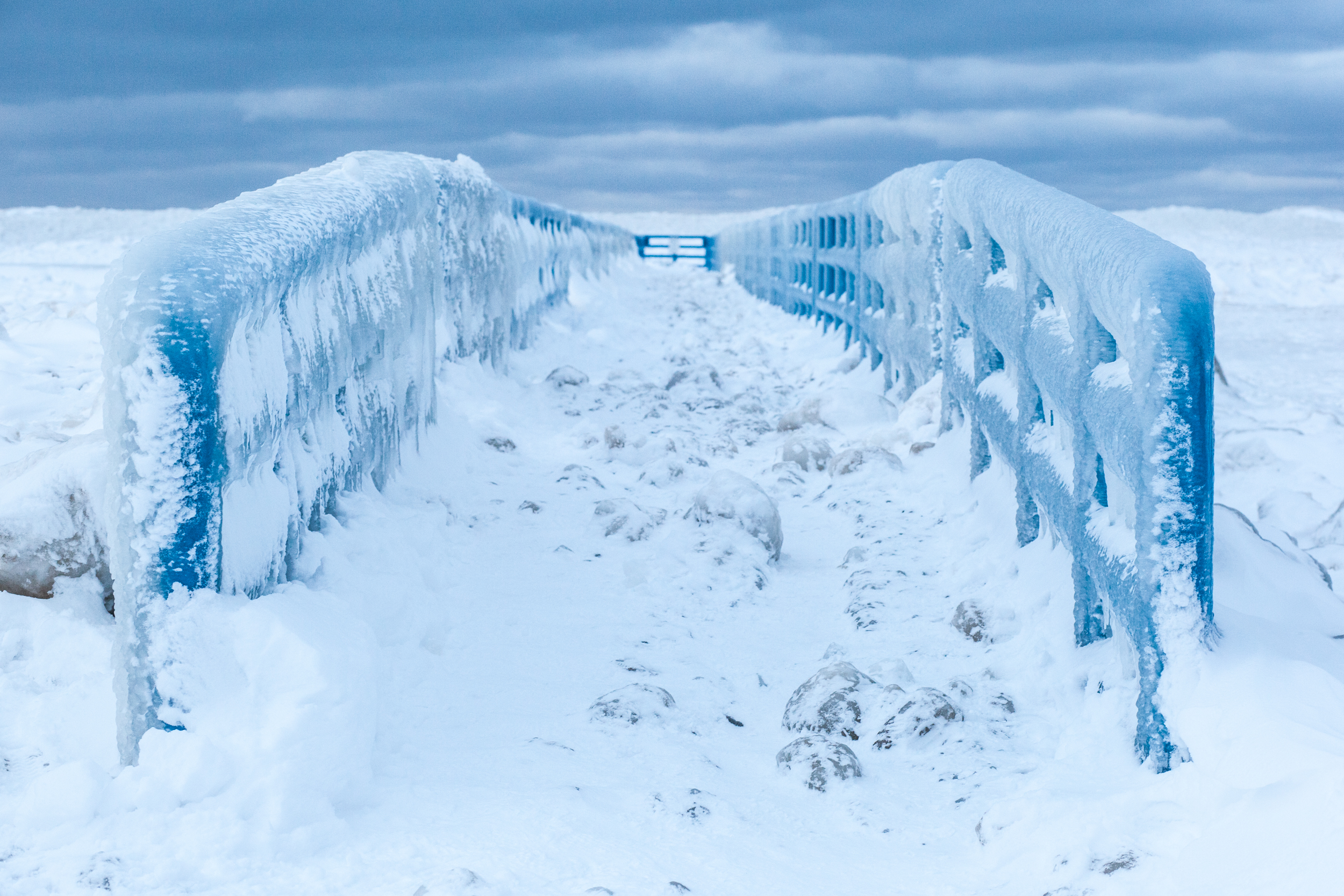 frozen way
