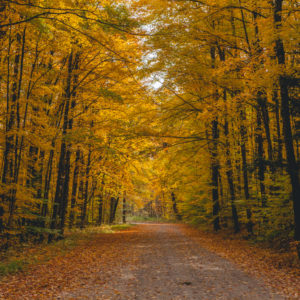 golden mile