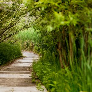 hidden passage