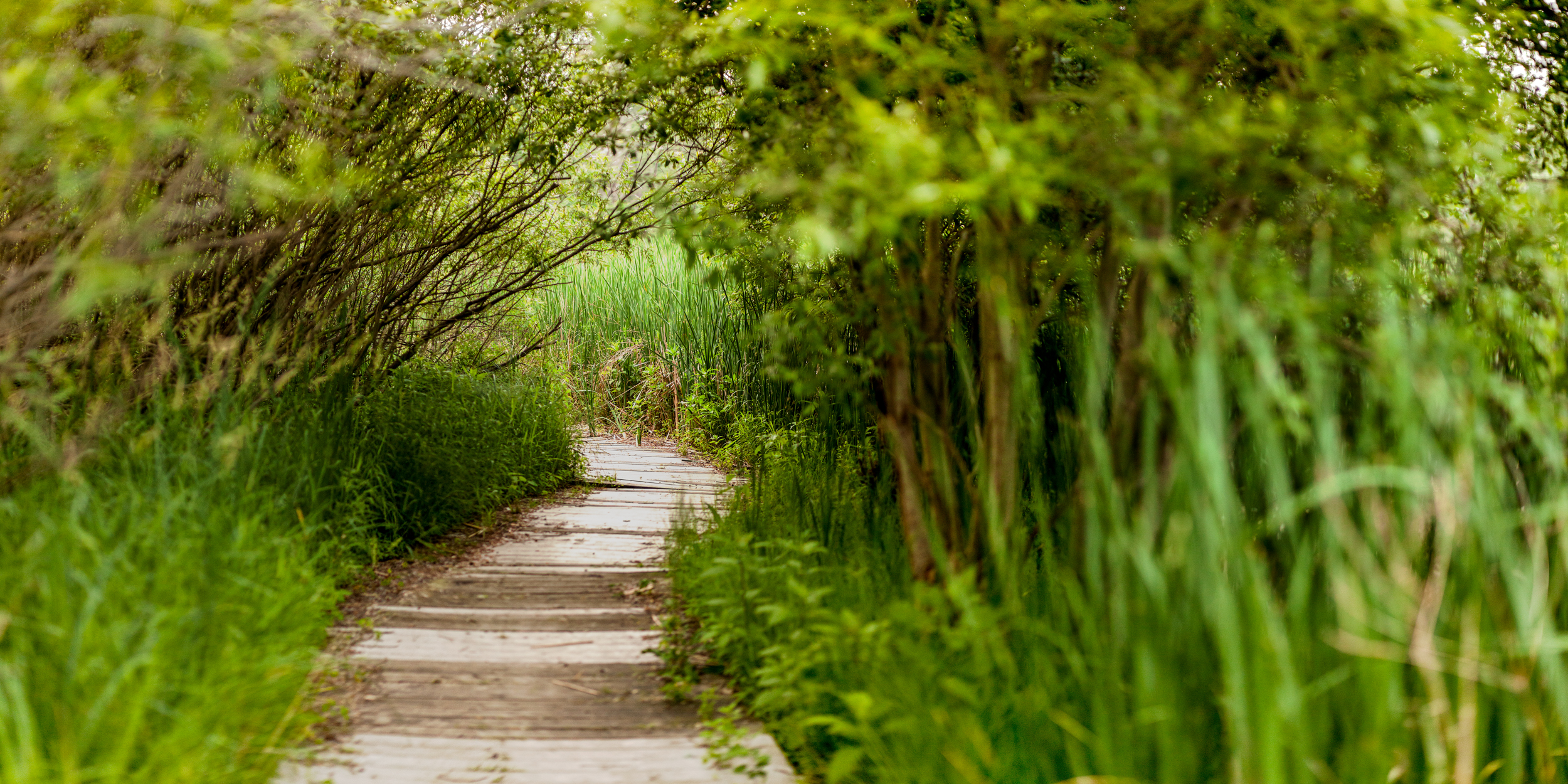 hidden passage