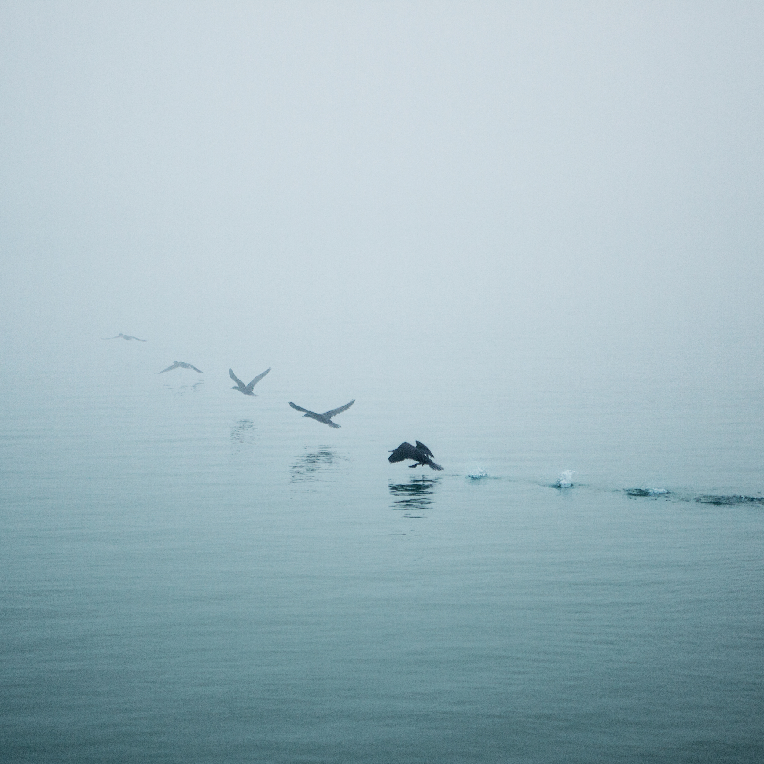 movement