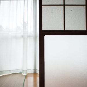rice paper doors