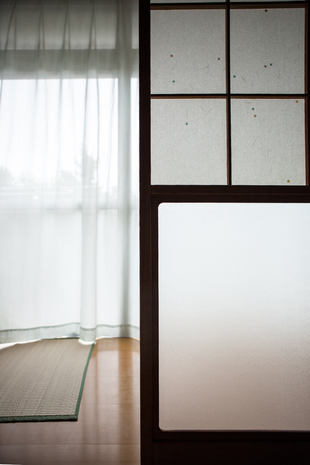 rice paper doors