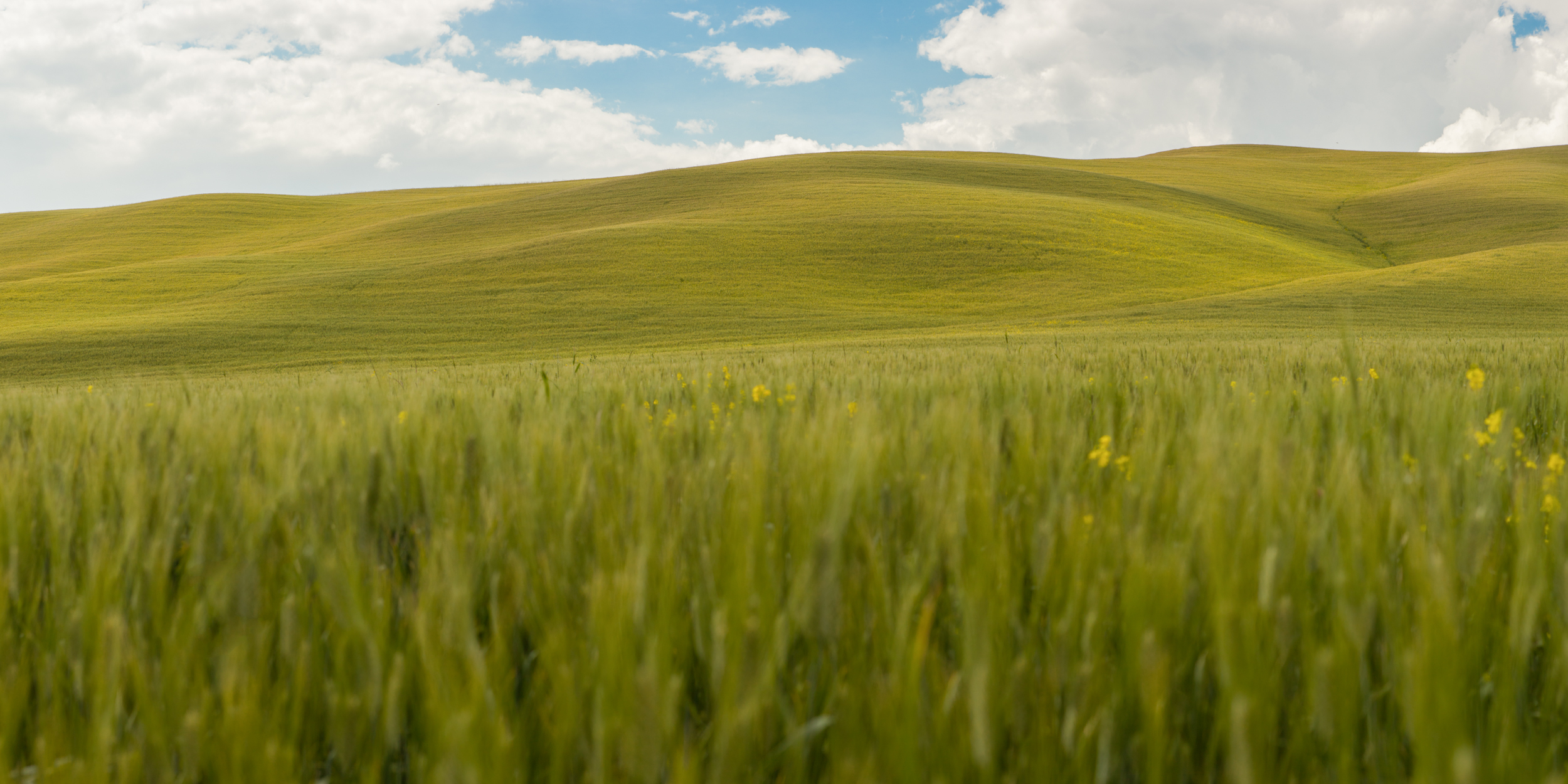 rolling hills