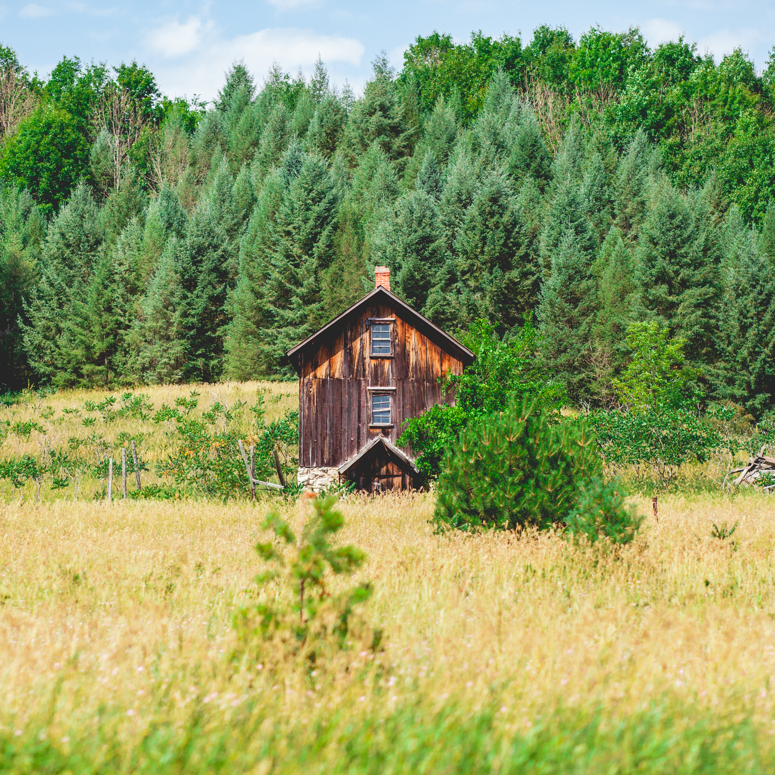 rustic