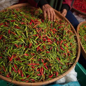 spice