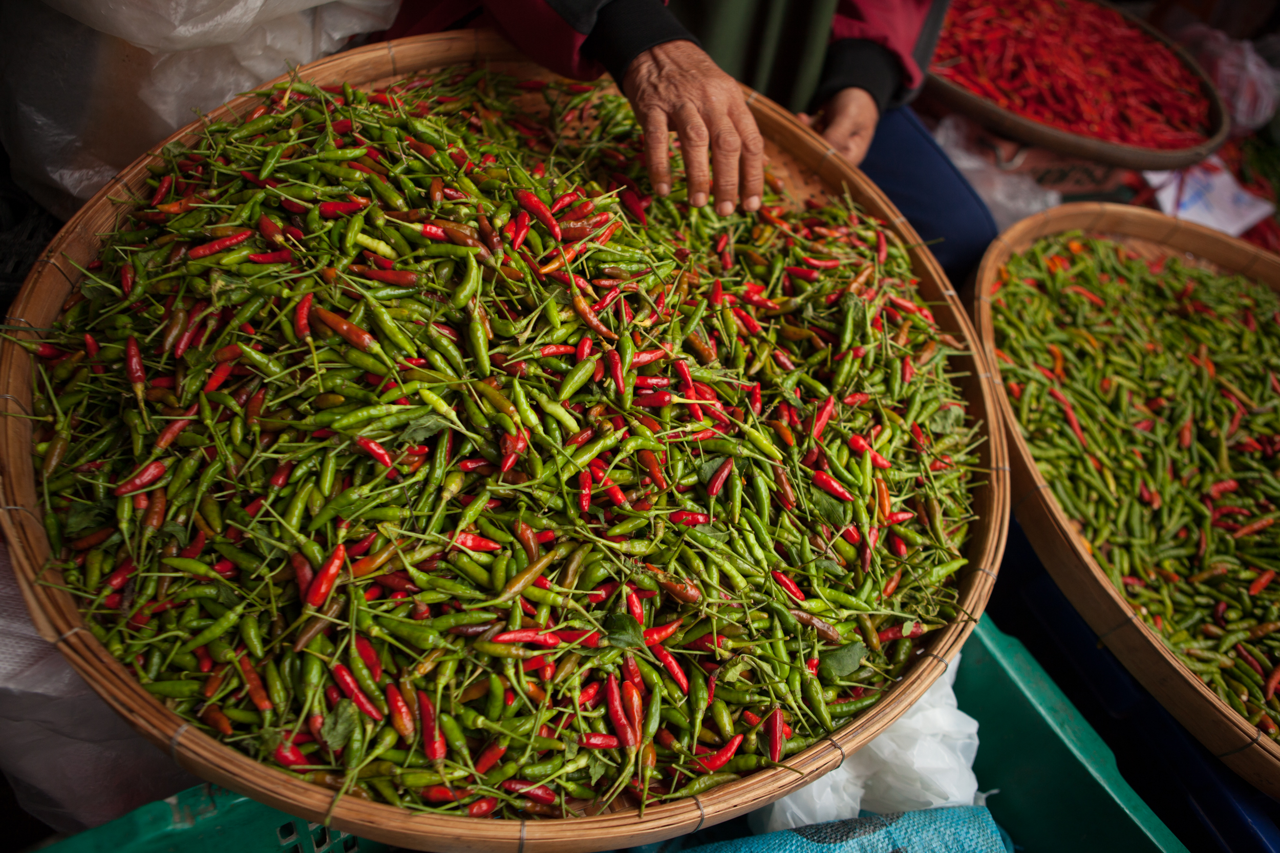 spice