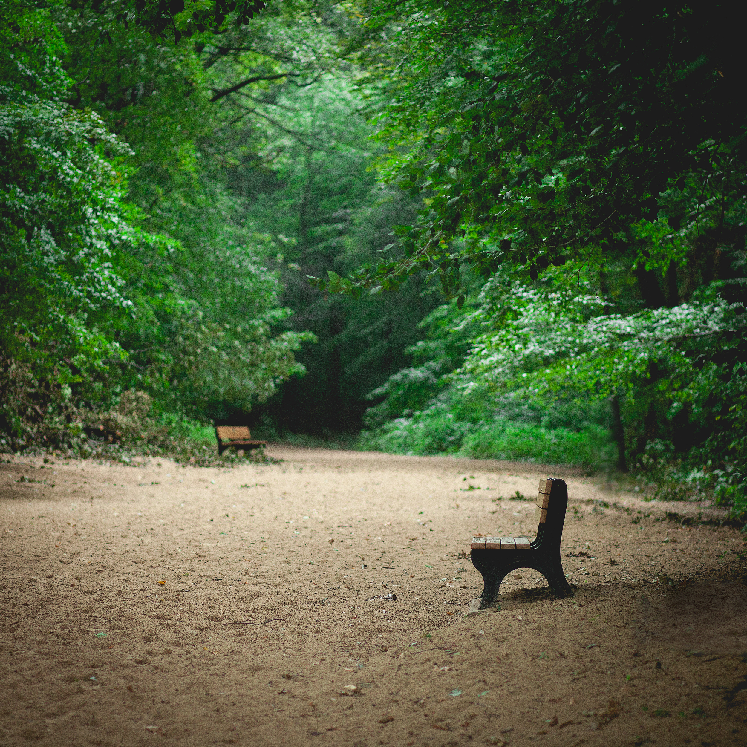 tranquil