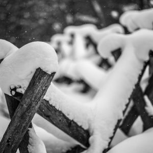 winter at Rosy Mound
