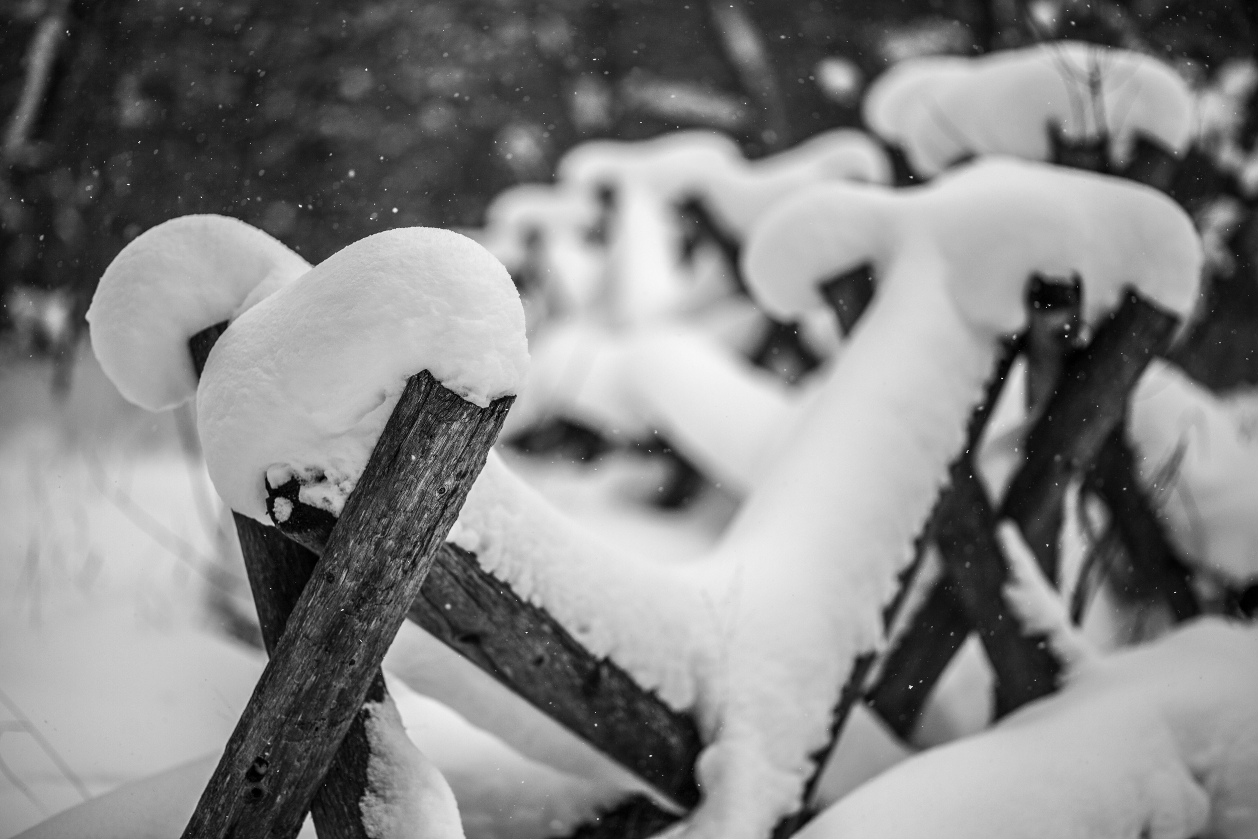 winter at Rosy Mound